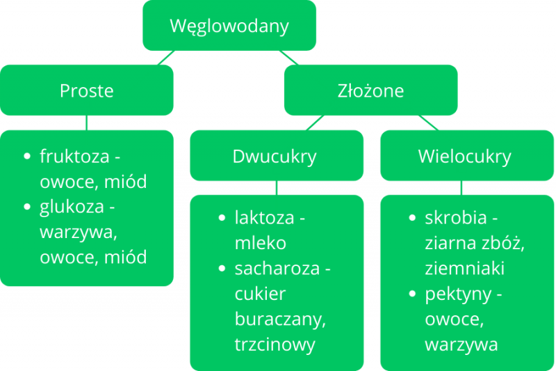 Białka Weglowodany Tłuszcze Sprawdzian Gimnazjum kalkulatorkalorii.net